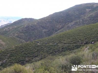 Senda Genaro - GR 300 - Embalse de El Atazar; senderismo en avila